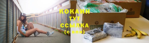 прущие грибы Белокуриха