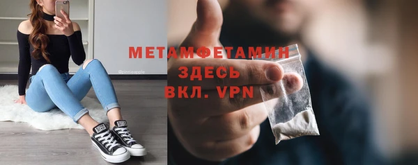 прущие грибы Белокуриха