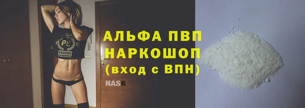 прущие грибы Белокуриха
