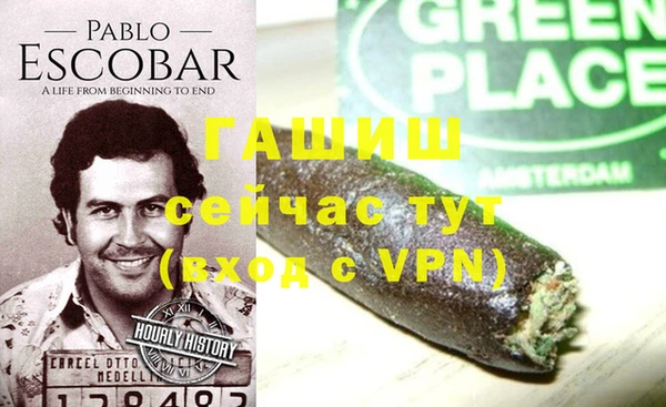 прущие грибы Белокуриха