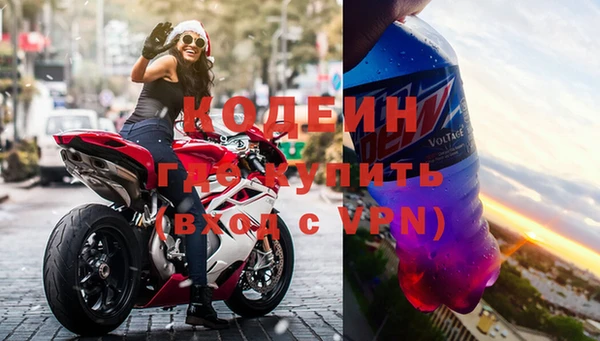 прущие грибы Белокуриха