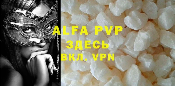 прущие грибы Белокуриха